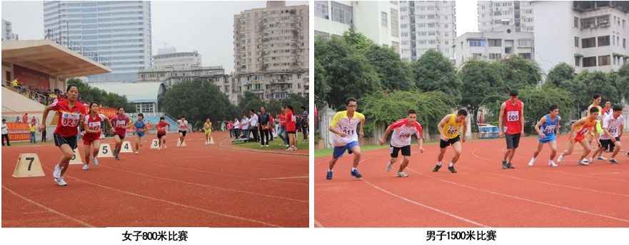 ��Ȧ- Ϊdu����