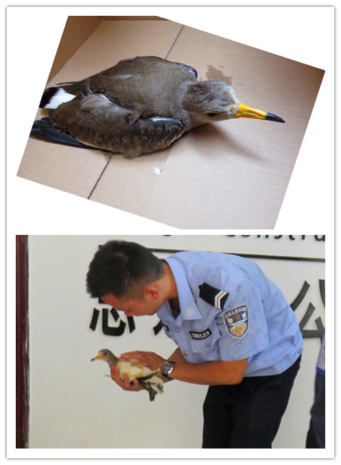 ��Ȧ- Ϊdu����