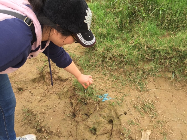 ��Ȧ- Ϊdu����