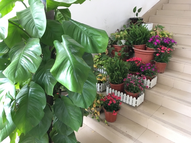 ��Ȧ- Ϊdu����