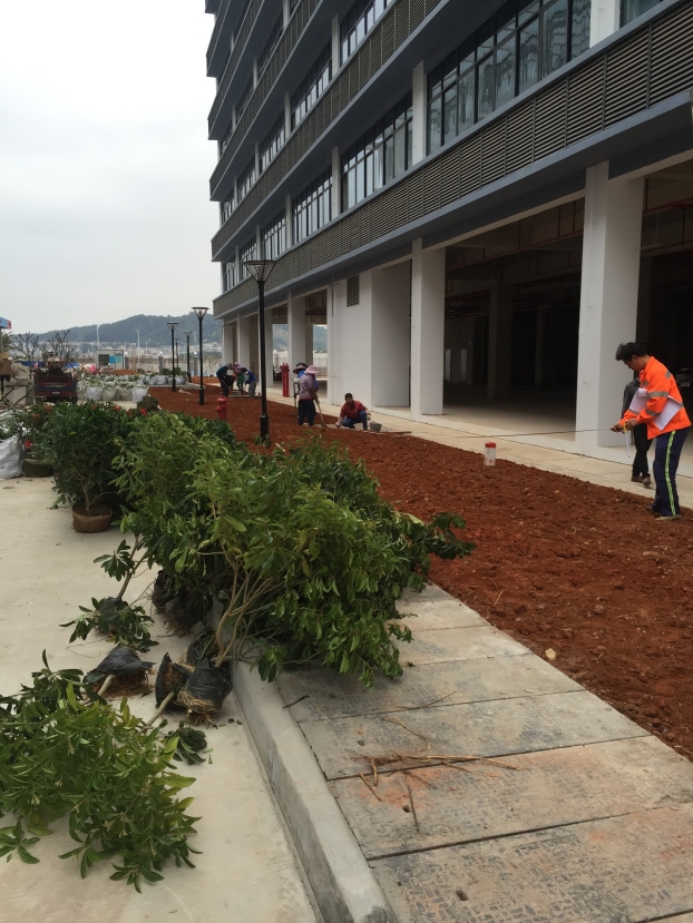 ��Ȧ- Ϊdu����