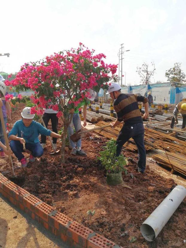 ��Ȧ- Ϊdu����